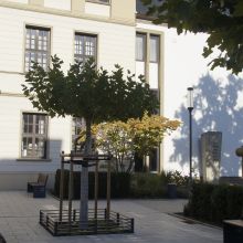 Wenn die Maste durch Pfeiffer Stahlrohrmaste direkt ab Werk farblich gestaltet werden, dann können sie entweder nasslackiert oder pulverbeschichtet werden. Als Farbgebung steht die RAL-Palette oder eine große Auswahl an DB-Farben zur Verfügung.